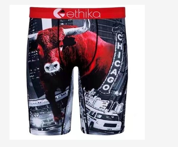 

ethikamens swimsuit, boxer shorts, champion of sport17