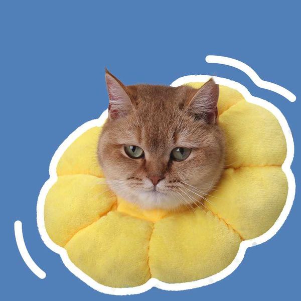 

cat collars & leads cute pet collar dog headgear sterilization supplies