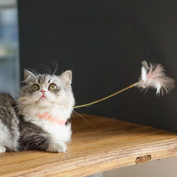 

cat toys pet funny elastic with bell lent relieve spring feather tease collar stick accessories decoration