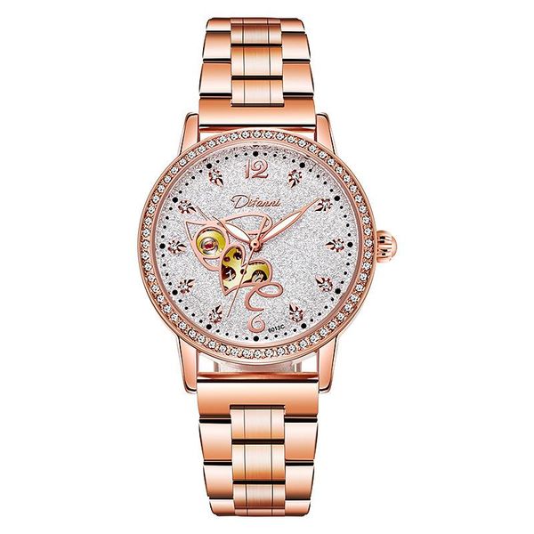 

wristwatches difanni swiss brand fashion trend ladies mechanical watch sky full of stars automatic, Slivery;brown