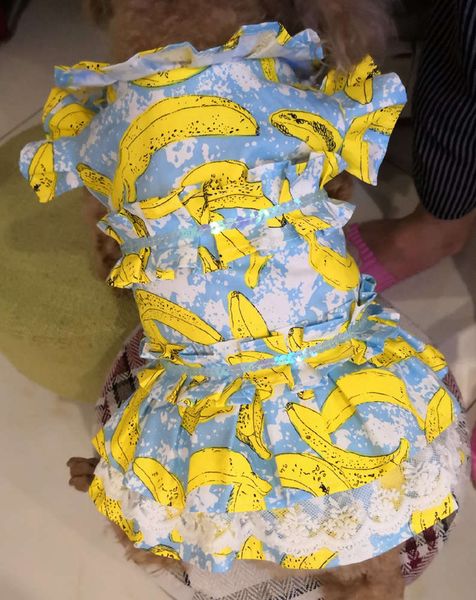 

dog apparel banana printed pet clothes for spring and summer