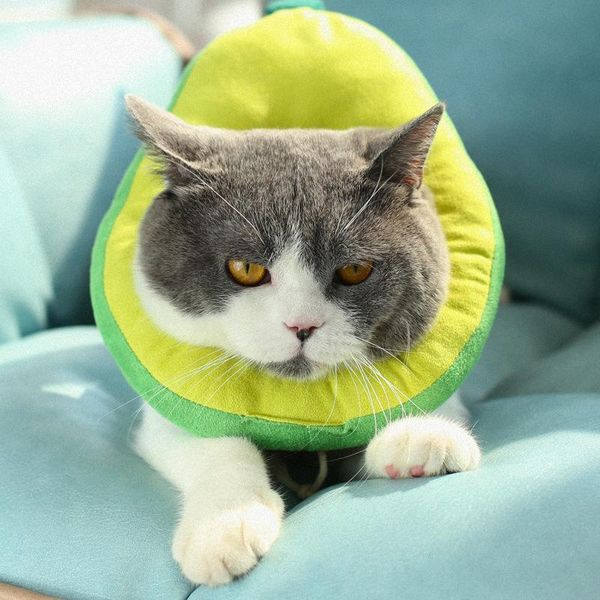 

cat collars & leads adjustable dog elizabethan collar fruit shape pet protective neck recovery anti-bite wound healing