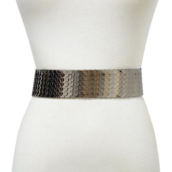 

belts women's metal scale iron waist seal special decoration all-match elastic belt for women, Black;brown