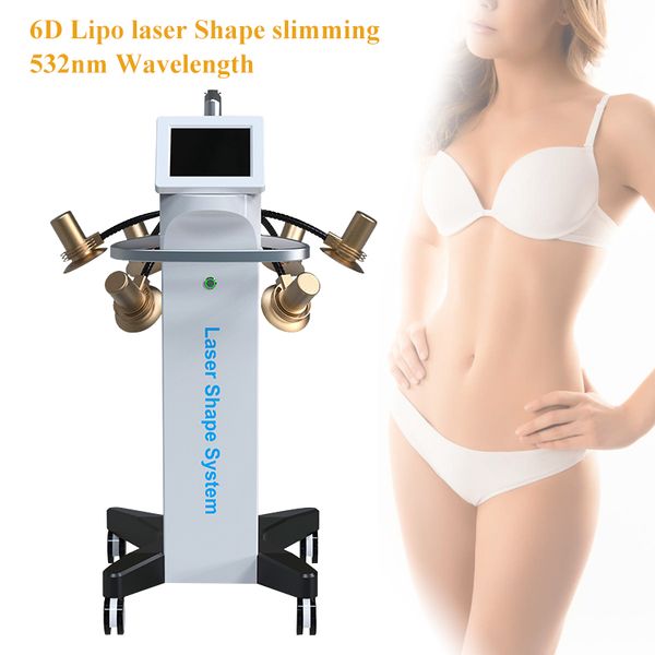 6D lipoLaser Body Shape System 532nm Lunghezza d'onda Laser verde Riduzione del grasso Laser a sorgente fredda Macchina dimagrante