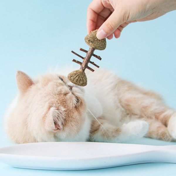 

cat toys catnip toy fish mouse chew bite favor interactive dorakitten