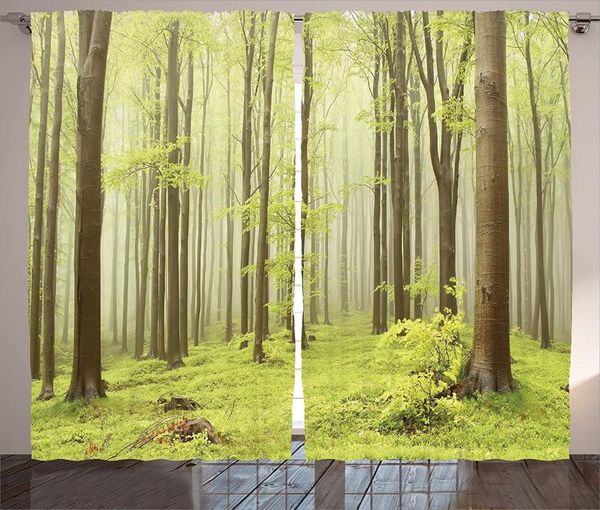 

curtain & drapes woodland decor curtains misty spring beech forest in the mountains of central europe wilderness nature picture bedroom