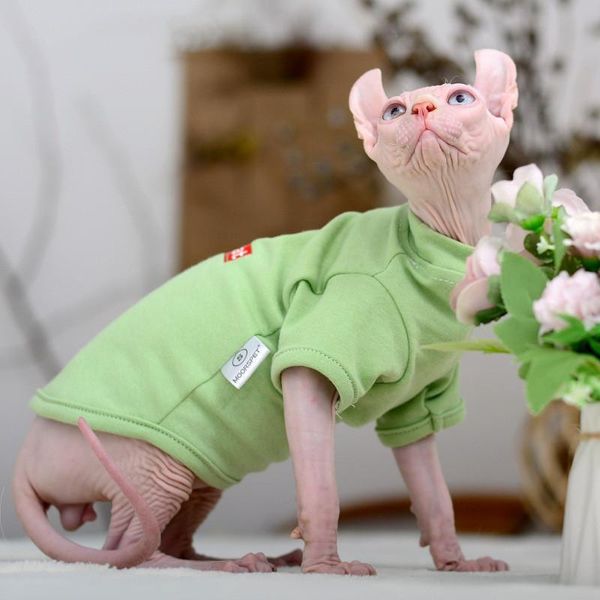 

hairless cat clothes spring and autumn pure cotton sweater soft comfortable german accessories costumes