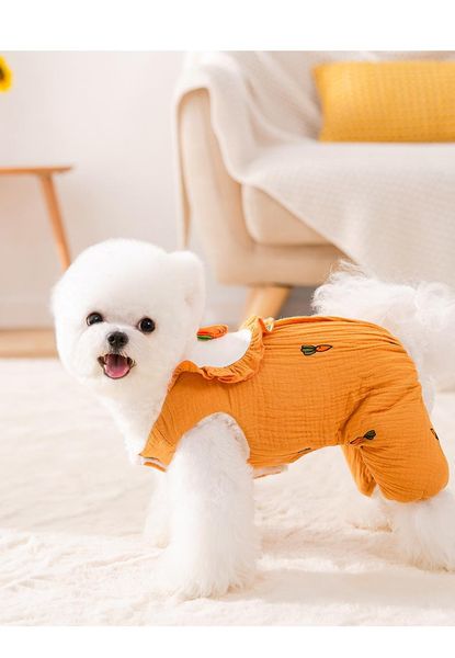 

cat costumes dog clothes for dogs clothing warm vest shirt puppy