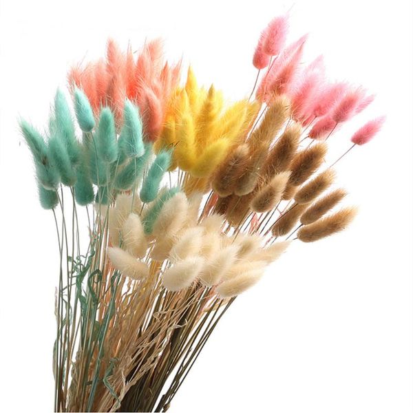 

natural dried dog tail grass pampas flowers bouquet wedding decor logistics traceable decorative & wreaths