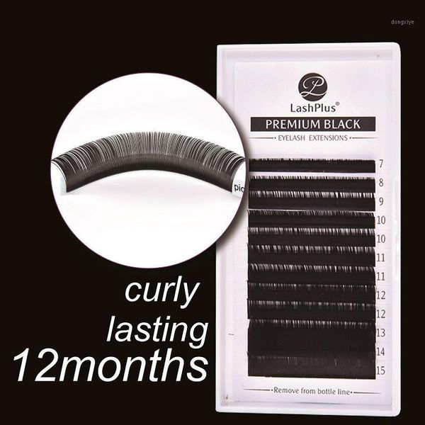 

arrived lashplus custom your logo individual eyelash extension silk lashes classic extensions1