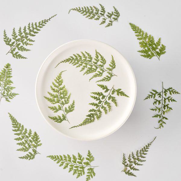 

lace fern dry flower embossing real leaf plant specimen bookmark petal makeup table lamp candle silk fan festival gift design