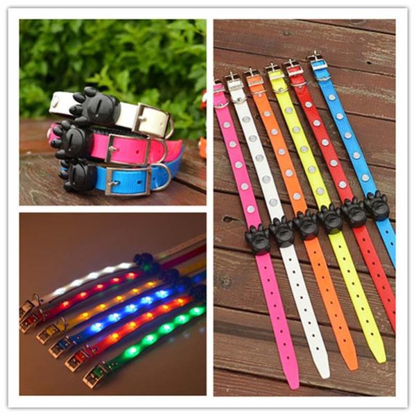 

luxury pet dog products tpu illuminate led collar collars & leashes