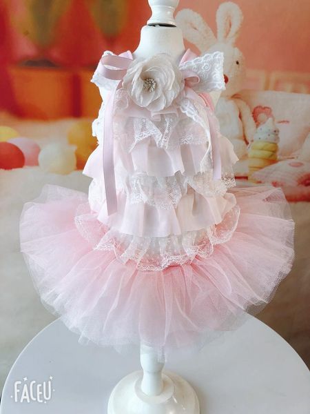 

dog apparel 2021 limited little fairy lace decor dresses pet clothes color skirts with flowers decoration tutu for pets accessories