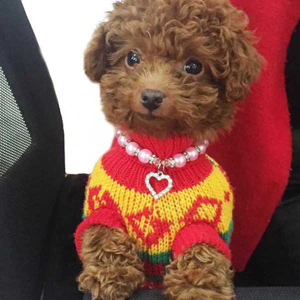 

cat collars & leads pet collar accessories jeweled necklace for supplies love pendant products puppy dogs