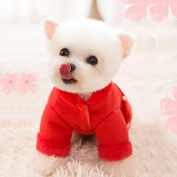 

dog apparel dance fan puppy cotton clothes autumn and winter teddy than panda pet small warm fashion nice