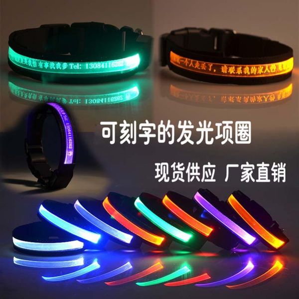 

pet dog products led bulb illuminate anti-missing collar goods collars & leashes