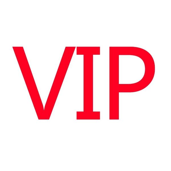 

cushion/decorative pillow vip