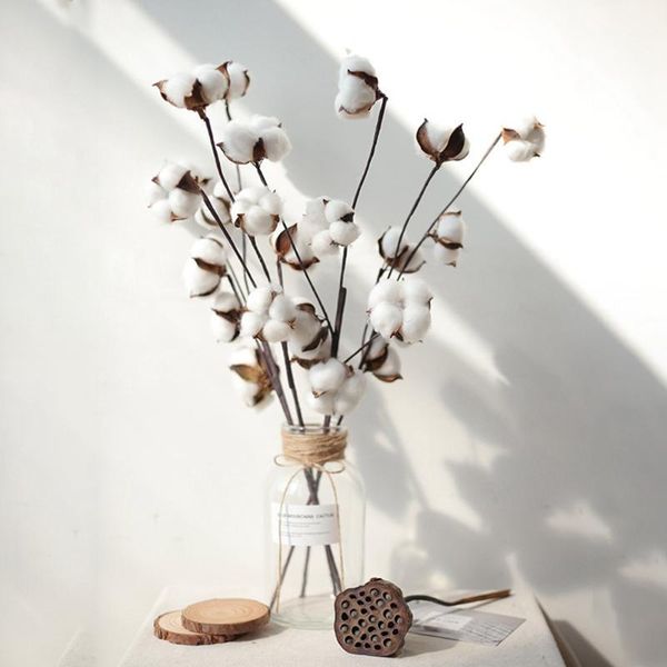 

decorative flowers & wreaths 7heads natural white dried flower cotton real indoor home decor floral branch for wedding party artificial acce
