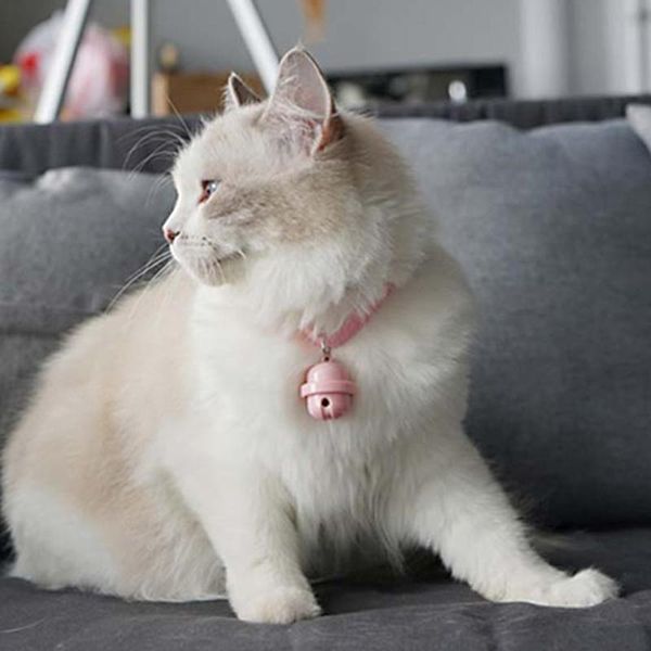 

cat toys pet collar funny laser toy for puppy collars adjustable cats small dogs