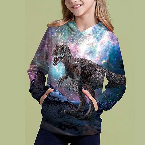 

dinosaur pattern novelty hoodie for boys and girls 3d printing pullover hooded sweatshirt with pocket 100-160, Black