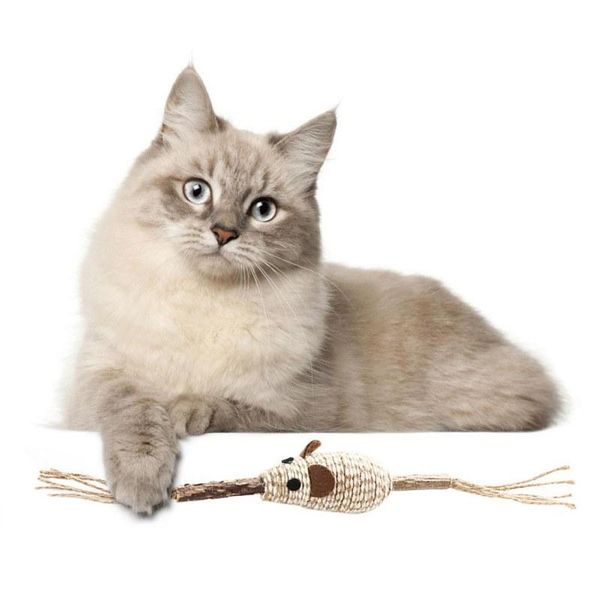 

cat toys cats tease toy chasing chew sticks with feather catnip home playing exercise interactive ceaning teeth supplies