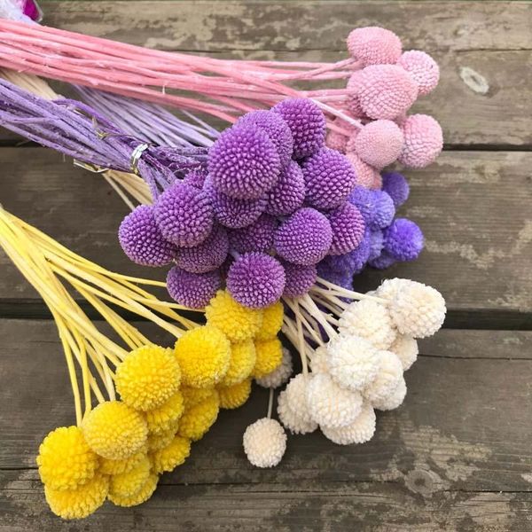 

decorative flowers & wreaths 1.2cm-2cm head,30cm preserved ball,natural fresh eternell craspedia bouquets,forever gold orbs flower