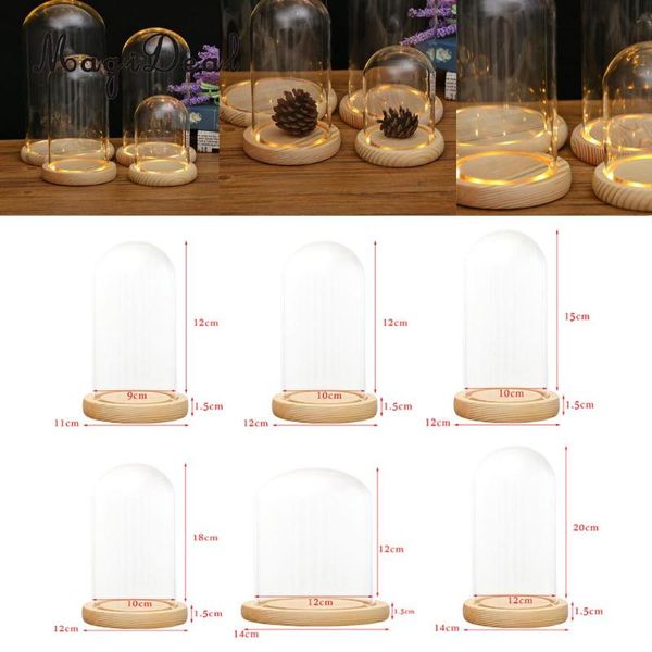 

vases magideal clear glass display dome with led wood base microlandscape holder