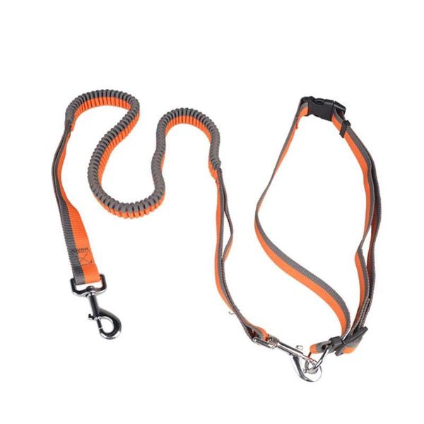 

dog collars & leashes pet products fluorescent running leads training rope goods