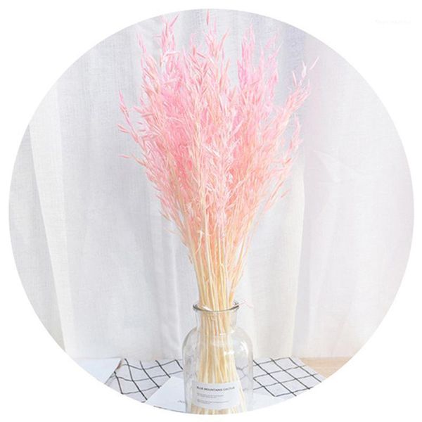 

25pcs dried natural plant oats branch real dry eternal ears of wheat flower bouquet for home room wedding decoration decorative flowers & wr