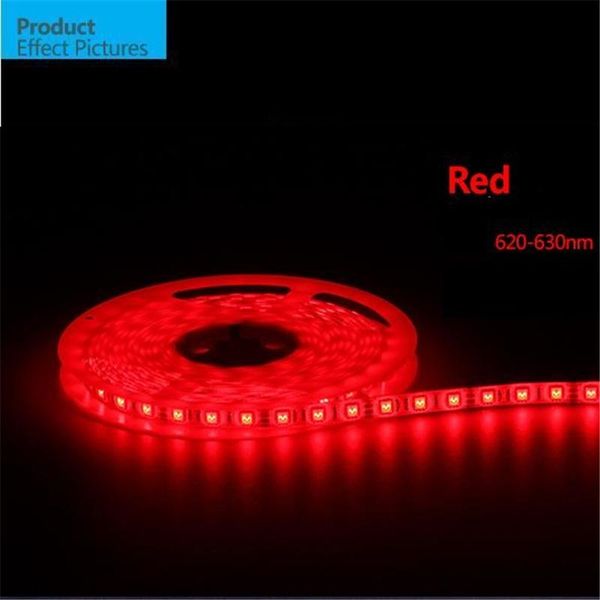 

5m/roll led strip smd softstrip 12v dc red color ip65 glue waterproof strips