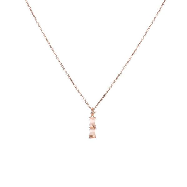 

chains 2021 bamboo pendant transparent opal necklace female trendy net red niche design sense titanium steel clavicle chain, Silver