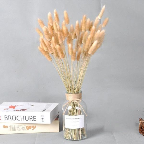 

decorative flowers & wreaths dried natural bouquets real color tail grass home birthday wedding easter decor lagurus ovatus