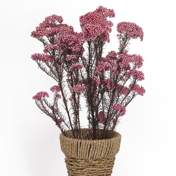 

decorative flowers & wreaths 50g eternal rice flower millet natural real dried bouquet diy candle resin accessories for living room decorati