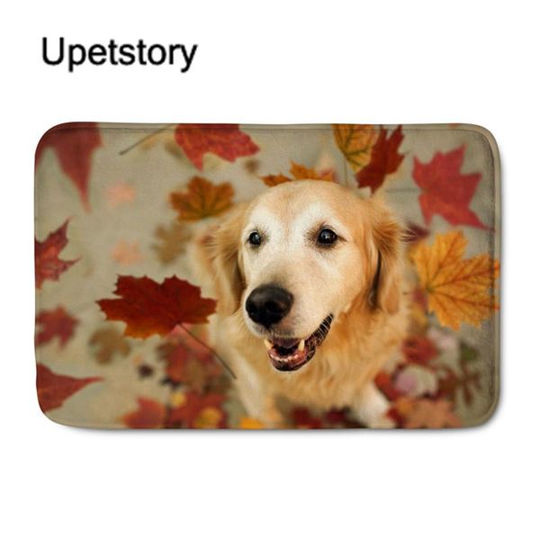 

carpets creative rugs washable funny dog doormat bath mats footpad home decor bathroom door mat floor for hallway kitchen