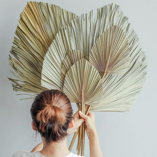 

palm fan leaf dried flower window reception party art wall hanging decoration wedding arch arrangement decorative flowers & wreaths