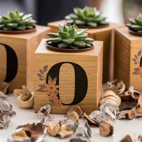 

decorative flowers & wreaths o head to the special plug sukulent naturacube