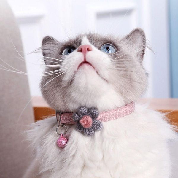 

cat collars & leads pet products cotton knit and dog collar teddy bomei bell