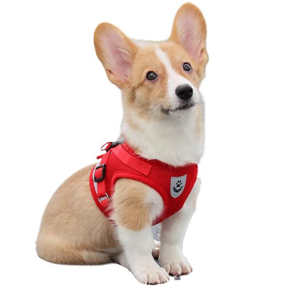 

dog collars & leashes chest strap burden reduction strong adhesive burrs anti-fall off double safety alloy fasteners small medium pets suita