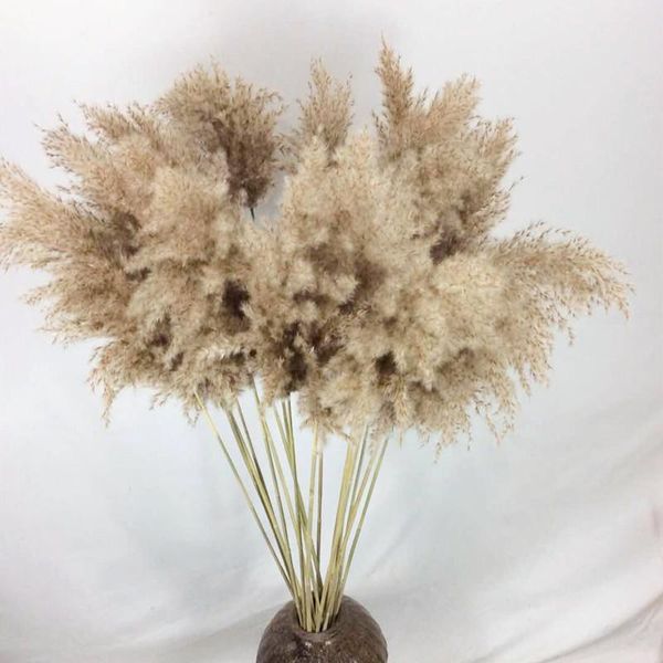

5pcs 70cm fluffy natural pampas grass dried flowers real dry plant wedding decoration home party decor artificial fake decorative & wreaths