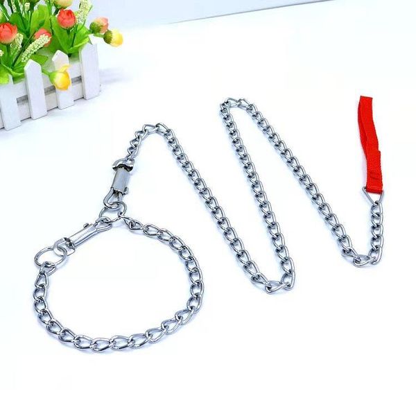 

dog's leash dog collars & leashes