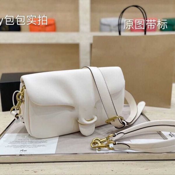 

hanghhangbag mini luxurys women s designers bags 2021 womens handbags purses crossbody bag wallet louisbags_18 handbag latest tabby clou