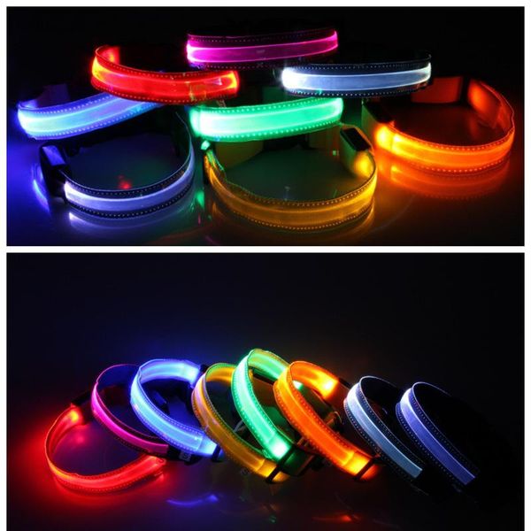 

dog collars & leashes the transparent led light collar pet supplies dogs and cats