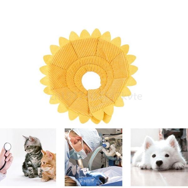 

pet cat recovery collar anti biting cone elizabethan wound heal collars & leads