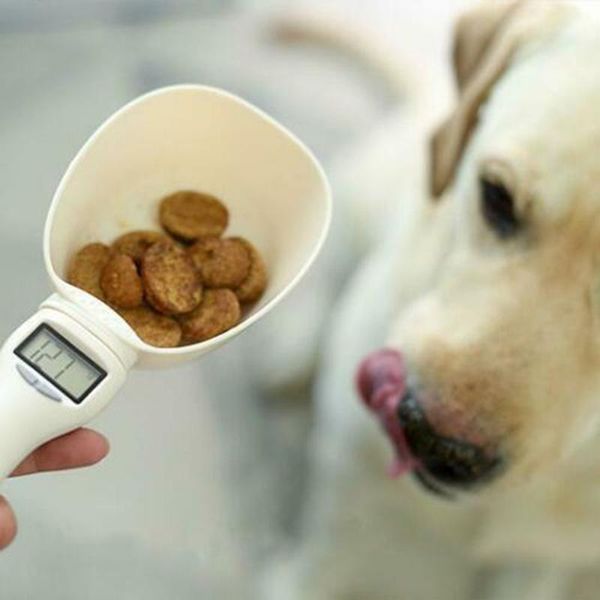 

dog apparel pet food measuring spoon weighing scale cup feeding bowls portable for kitchen aug889