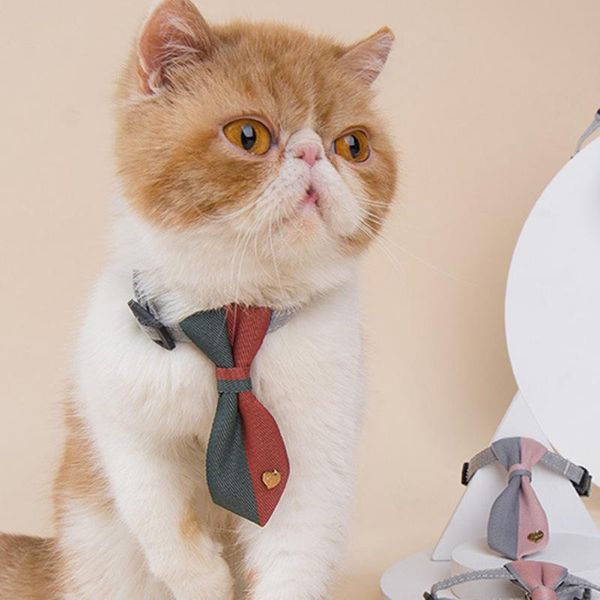 

cat costumes pet korean double tie fashionable and elegant supplies tie, practical durable, bright summer, -selling