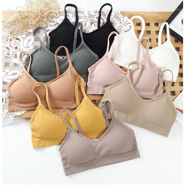 

bustiers & corsets chrleisure bralette tube women wireless solid elastic bra brassiere u-sahpe push up ladies crop underwear, Black;white