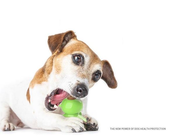 

dog toys & chews toy puppy chew for dogs pet suction cup licking supplier