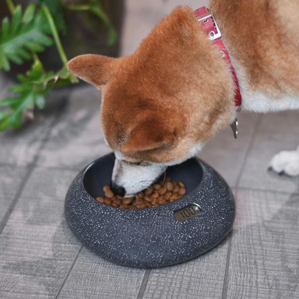 

cat bowls & feeders smart dog abs electronic feeding bowl with weight control function feeder can calculate n06