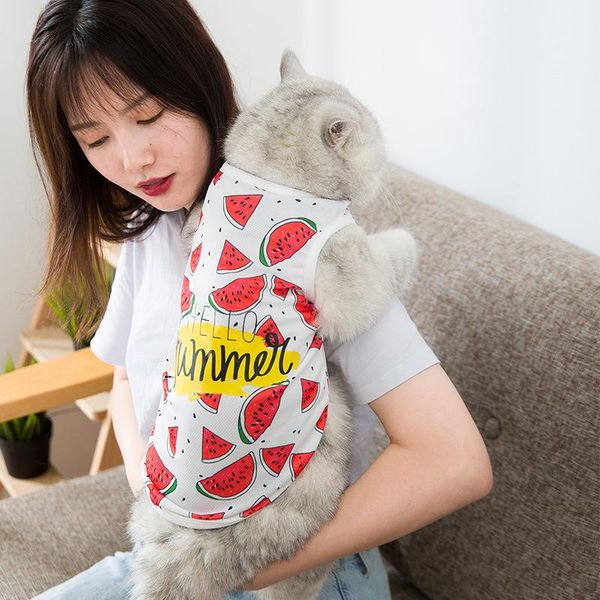 

pet cat vest spring and summer thin breathable mesh dog clothes kitten costumes