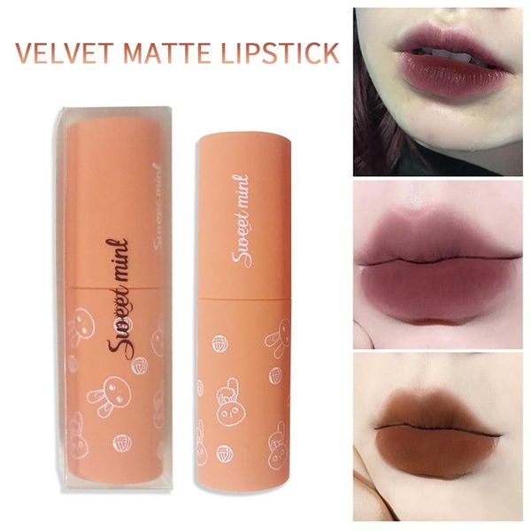 

lip gloss 6 colors mud glaze women velvet matte lipstick orange strawberry waterproof lasting color profissional tslm1